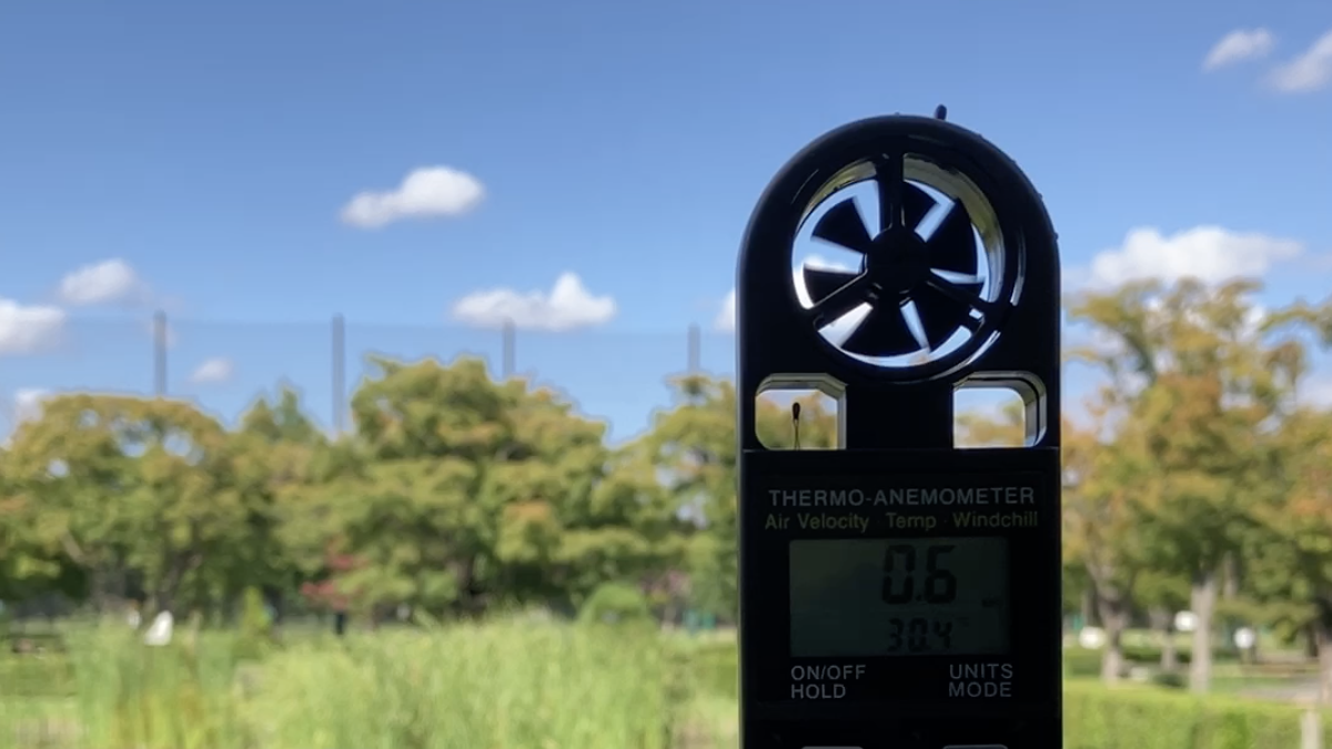 ２０２４年夏風