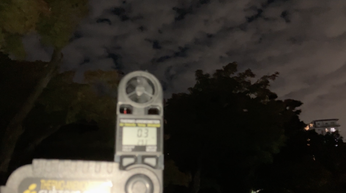 暇南風（いとまばえ）