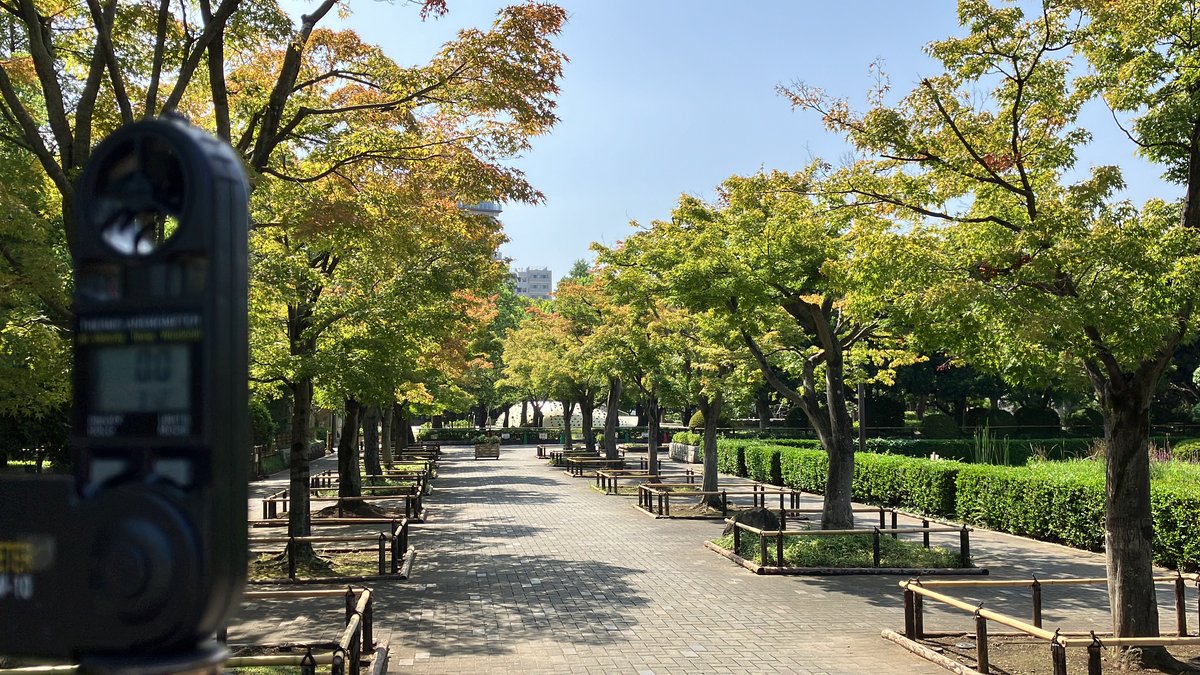 送南風（おくりまぜ）