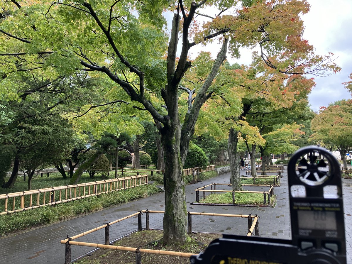 秋梅雨風（あきつゆかぜ）