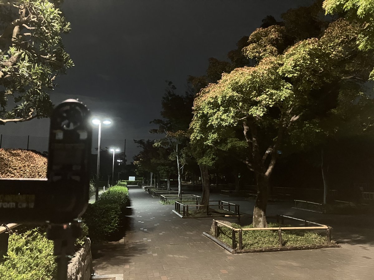 木の下風（このしたかぜ）