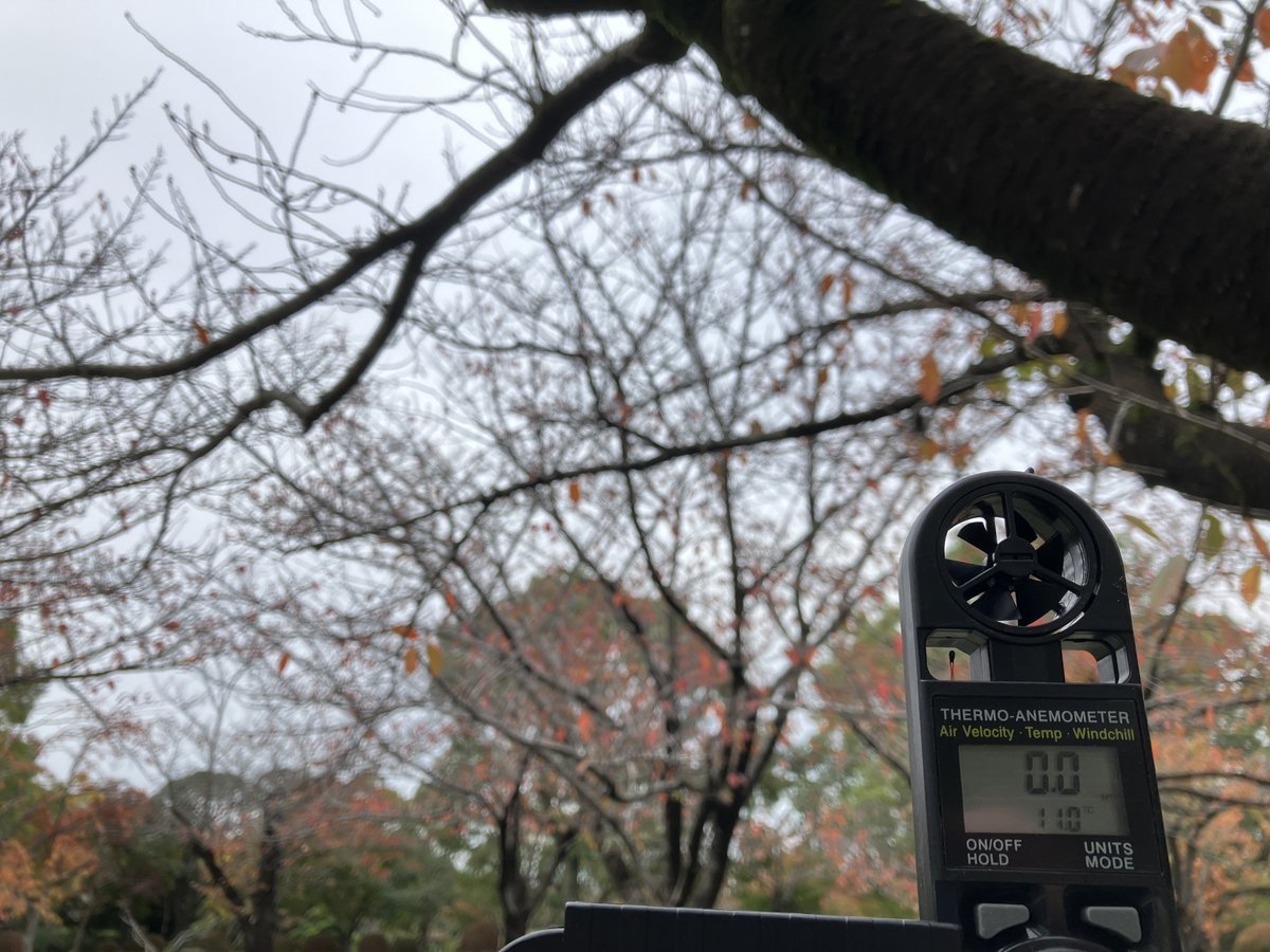 初冬風（しょとうかぜ）