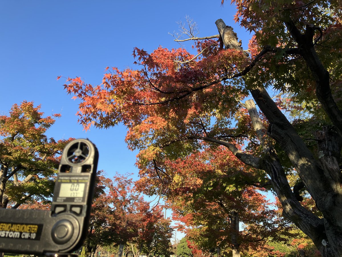 紅葉微風（もみじびふう）