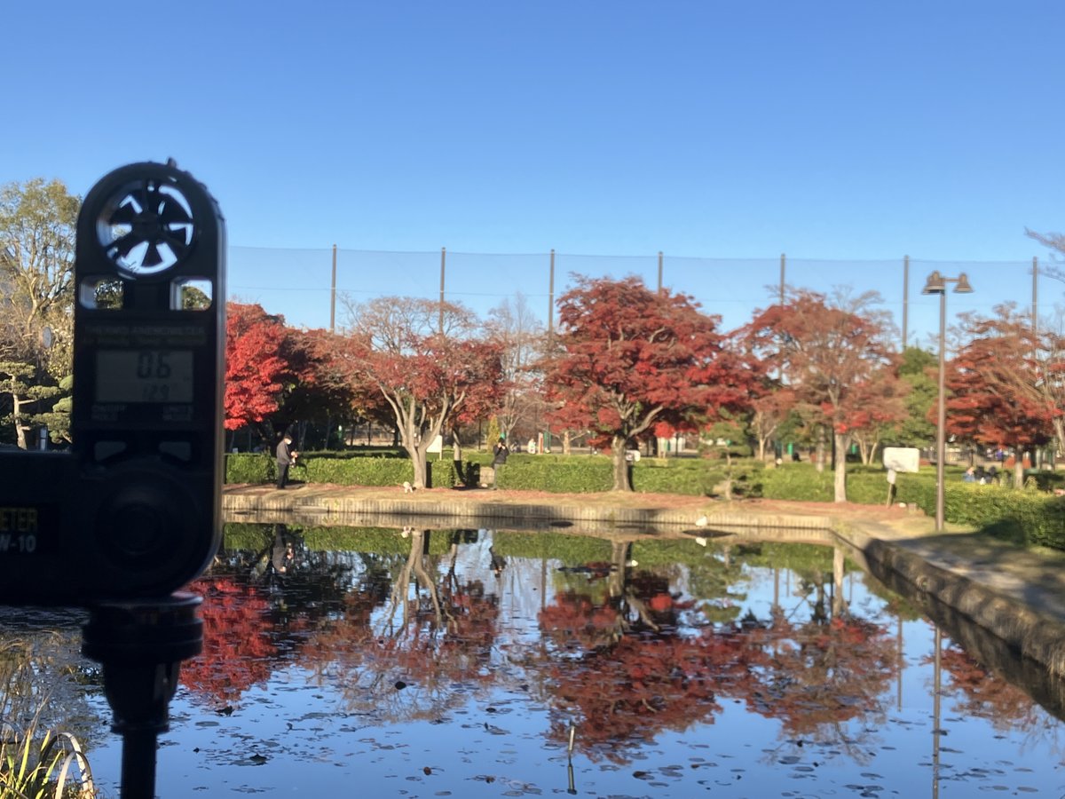 逆さ紅葉風（さかさもみじかぜ）