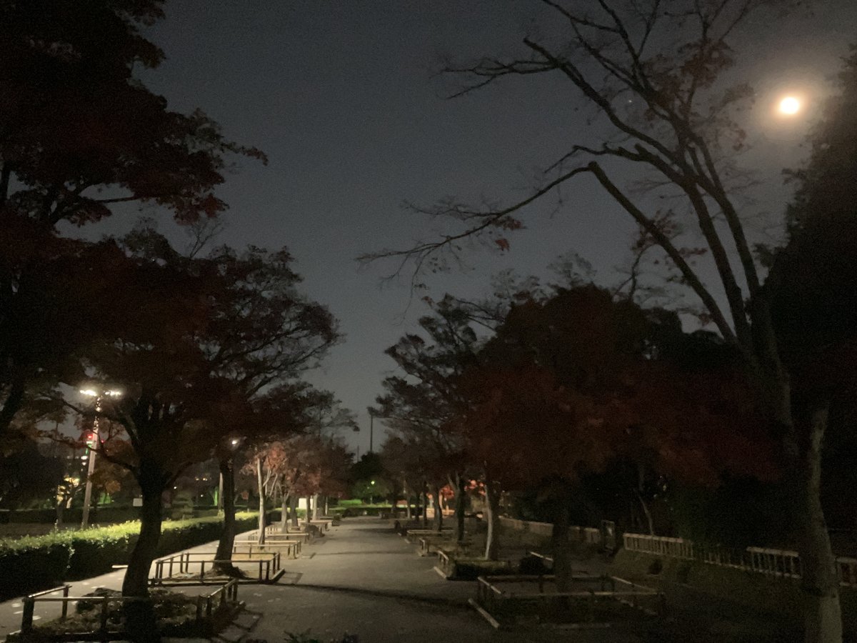 冬月夜凪（ふゆつきよなぎ）
