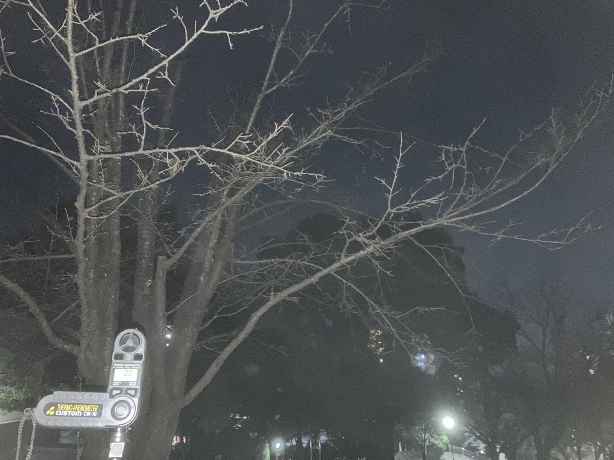 心弛び風（こころゆるびかぜ）
