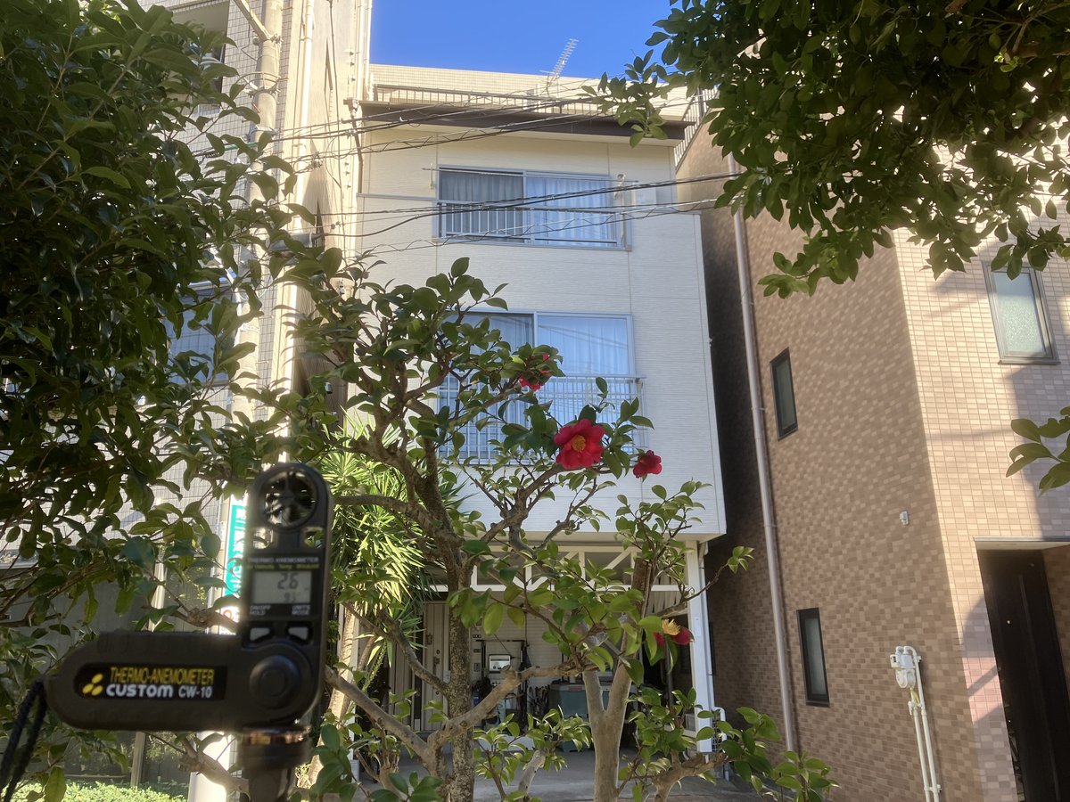 初東風（はつこち）