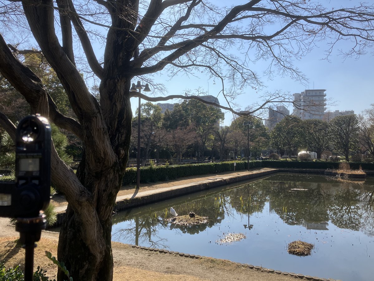 大寒暖風（だいかんだんぷう）