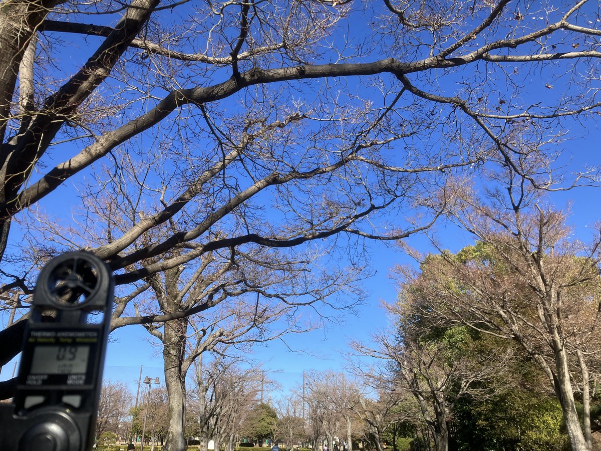 揺冷風（ようれいふう）