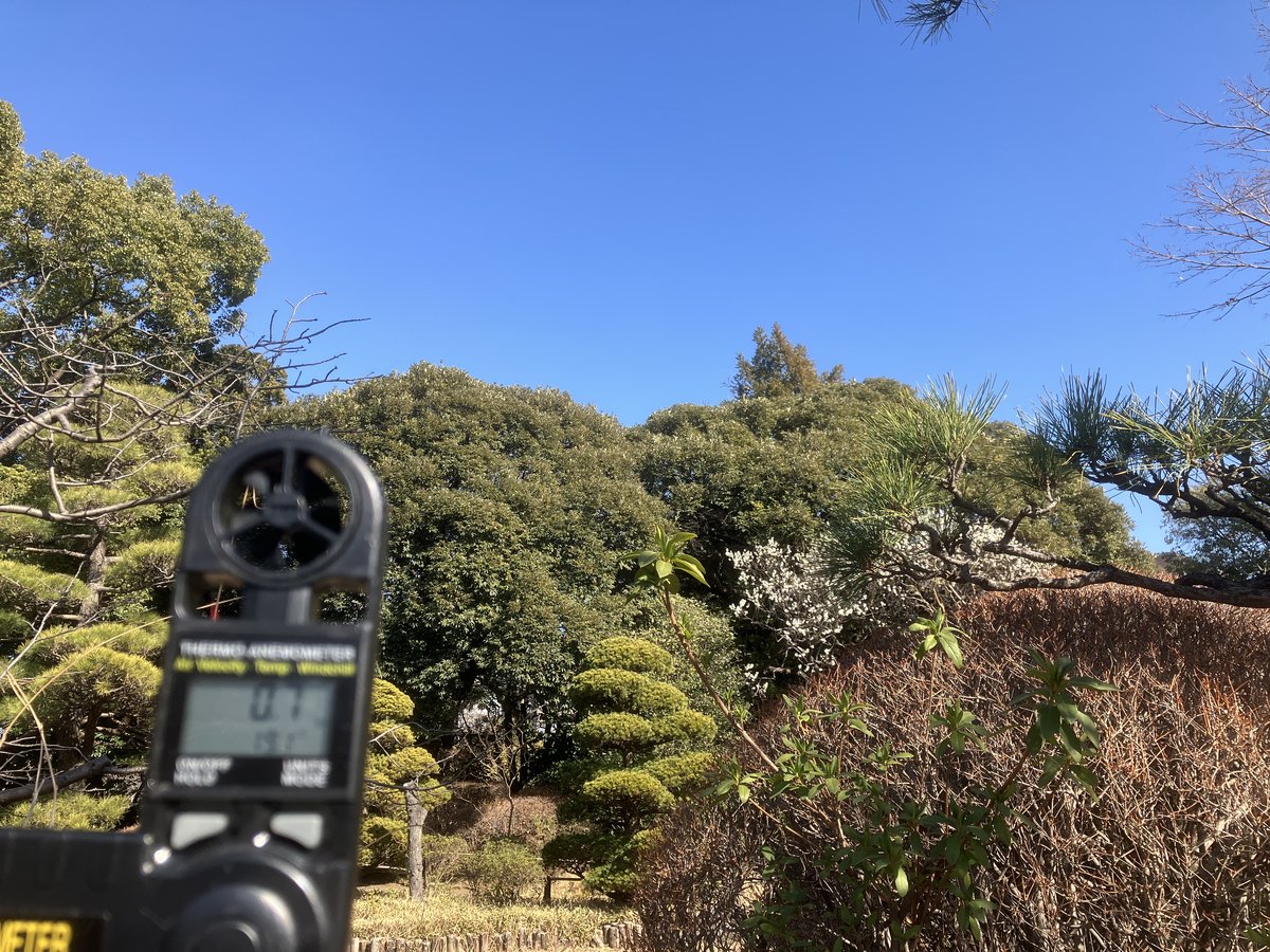 東風（こち）